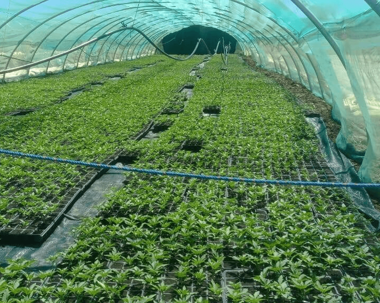 Why Invest in TerraFi